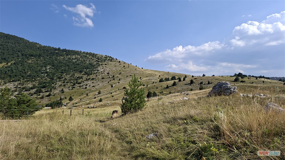 20260807_163739