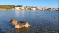 IMG-20230108-WA0025