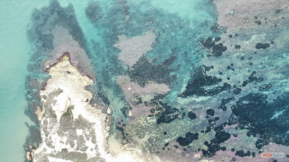 dji_fly_20231230_131444_187_1703938566459_photo_optimized