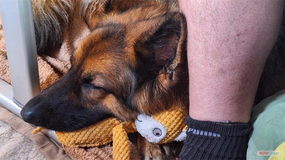 jquery carousel slider