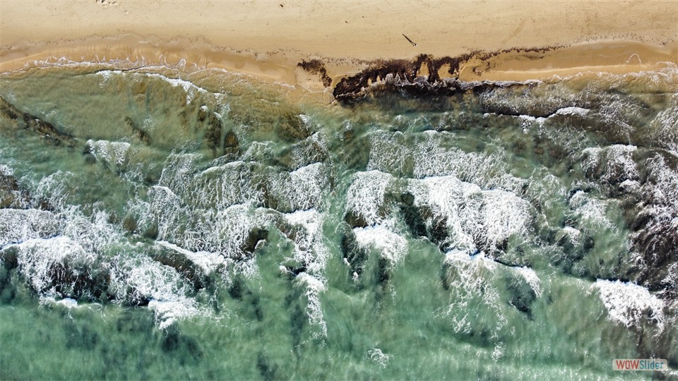 dji_fly_20240104_092436_212_1704356689540_photo_optimized