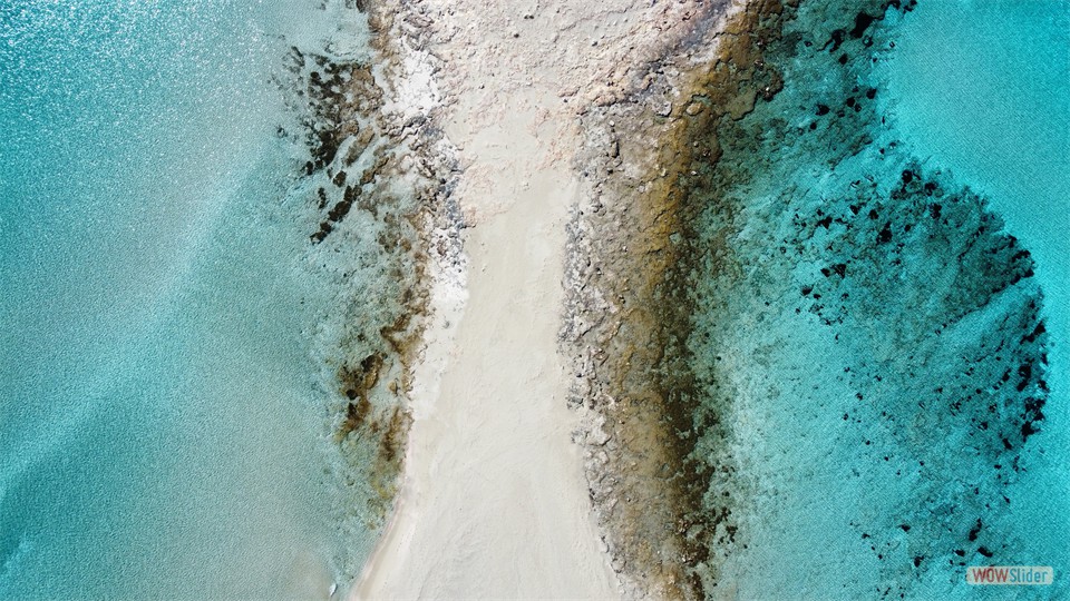 dji_fly_20240202_122514_469_1706869609480_photo_optimized
