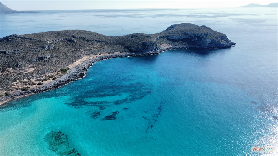 dji_fly_20240202_122558_476_1706869632030_photo_optimized