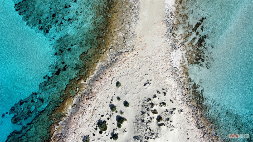 dji_fly_20240202_123210_487_1706869941739_photo_optimized