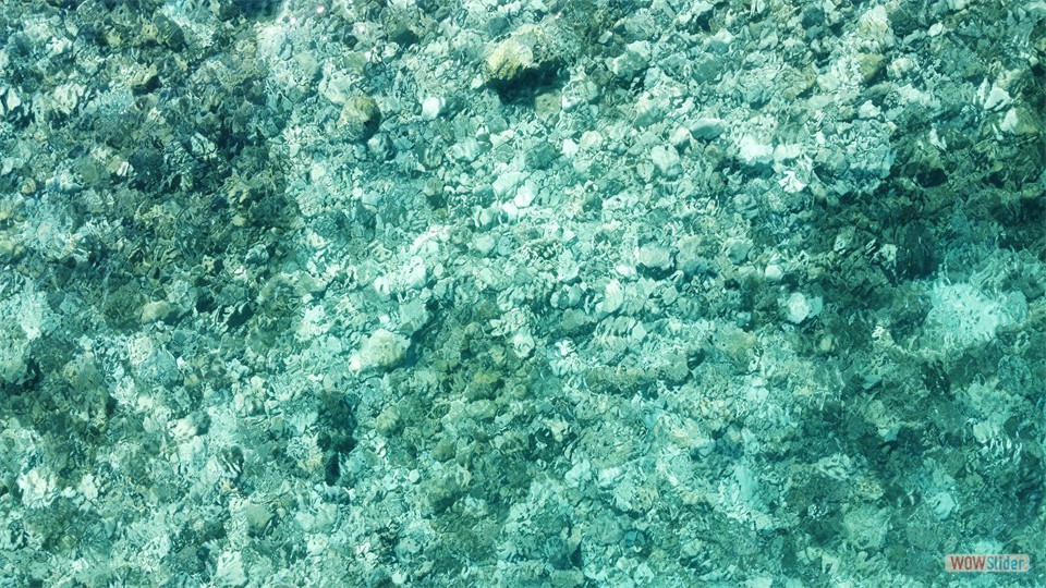 dji_fly_20240126_113524_330_1706262468455_photo_optimized