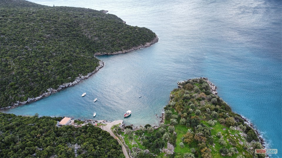 dji_fly_20240129_161328_377_1706538453311_photo_optimized