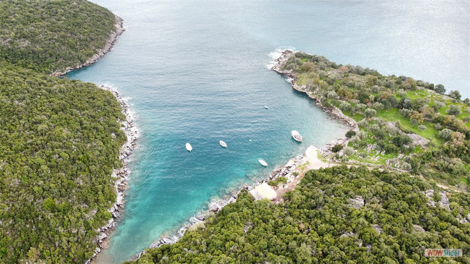 dji_fly_20240129_162034_396_1706538045169_photo_optimized