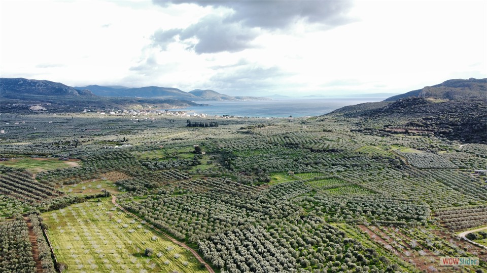 dji_fly_20240130_161236_406_1706624610974_photo_optimized