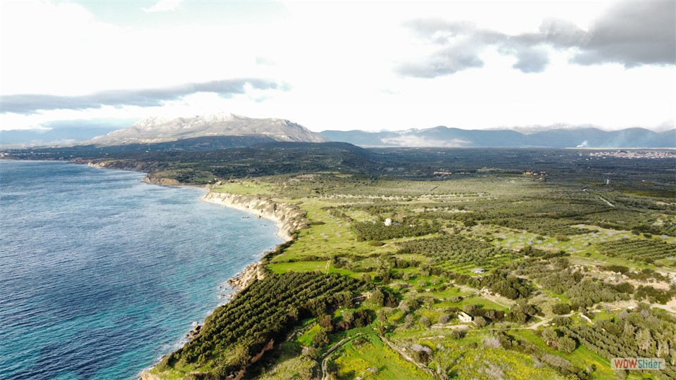 dji_fly_20240130_161246_408_1706624608530_photo_optimized