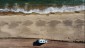 dji_fly_20240206_153750_526_1707227028723_photo_optimized