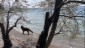 IMG-20250417-WA0008