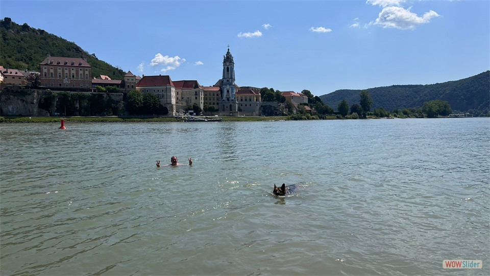 IMG-20250720-WA0011