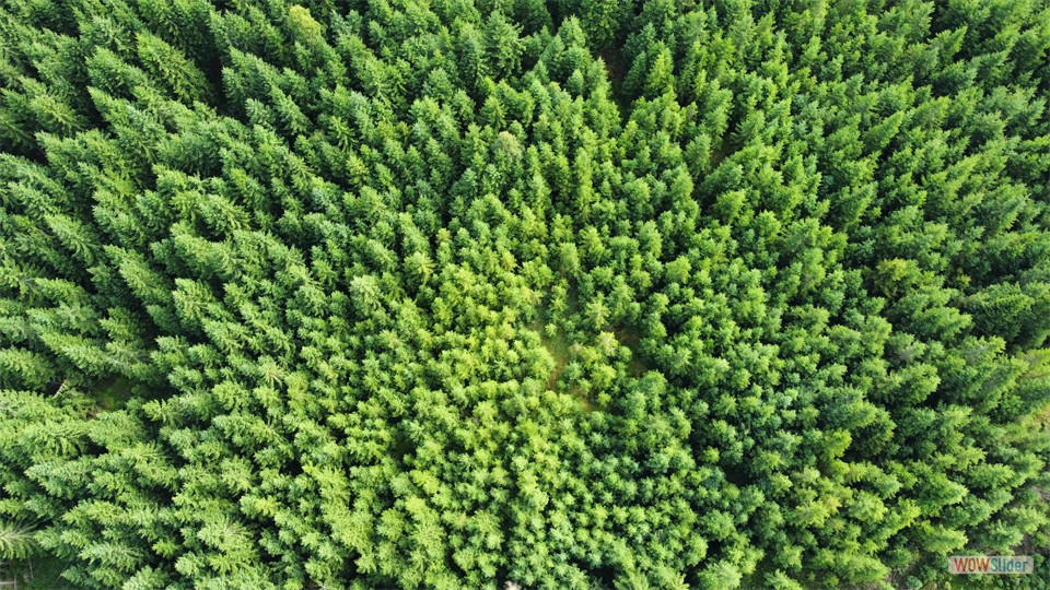 dji_fly_20250725_090946_532_1753428196645_photo_optimized