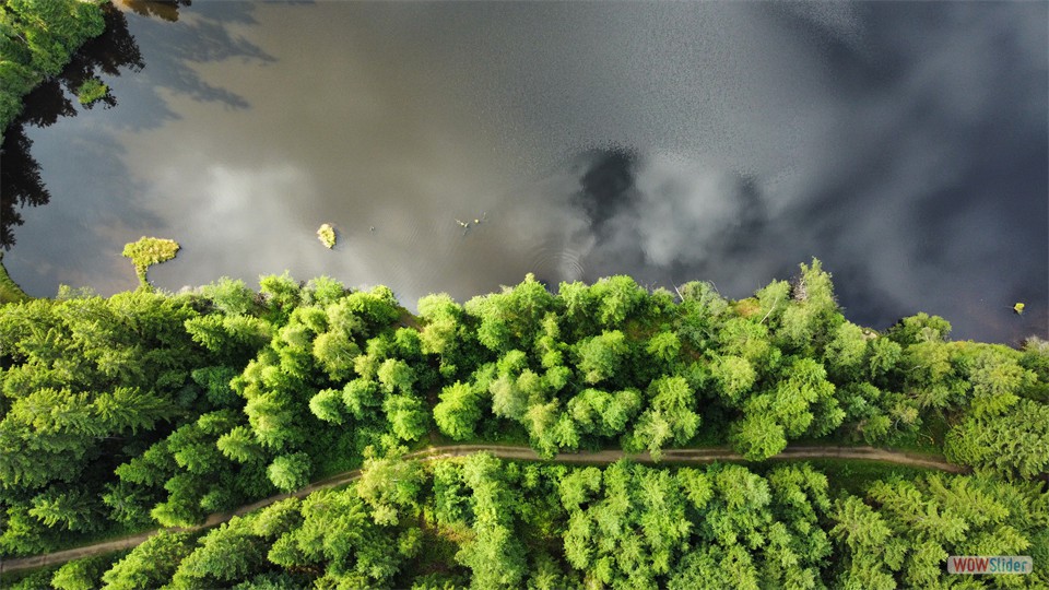 dji_fly_20250725_091056_536_1753428181243_photo_optimized