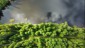 dji_fly_20250725_091056_536_1753428181243_photo_optimized