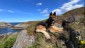 IMG-20240615-WA0076