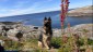 IMG-20240615-WA0078