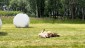 IMG-20240618-WA0022