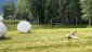 IMG-20240618-WA0023