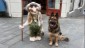 IMG-20240621-WA0067