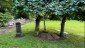 IMG-20240621-WA0074