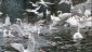 IMG-20240704-WA0075
