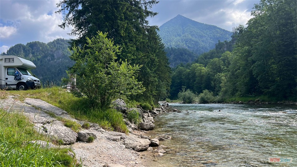 IMG-20250619-WA0031