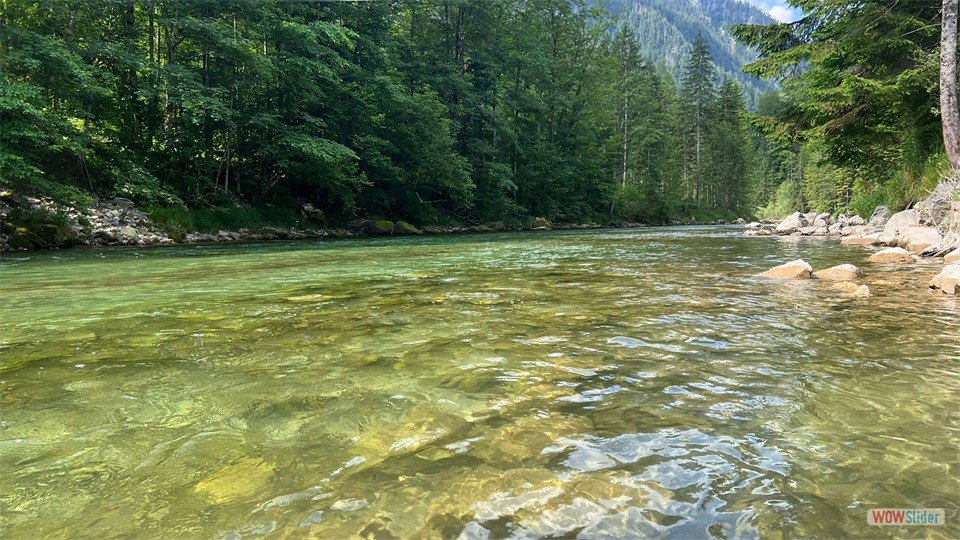 IMG-20250619-WA0036