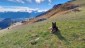 IMG-20231025-WA0026