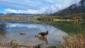 IMG-20231025-WA0042