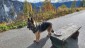 IMG-20231025-WA0059
