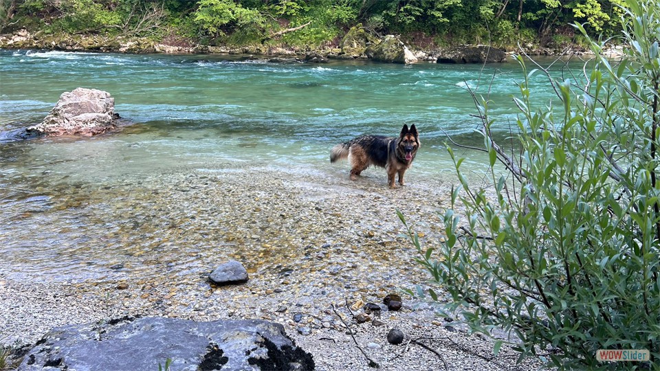IMG-20250531-WA0056