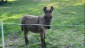 IMG-20250531-WA0027