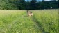 IMG-20250531-WA0033