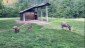 IMG-20250531-WA0051