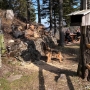 IMG-20250412-WA0096